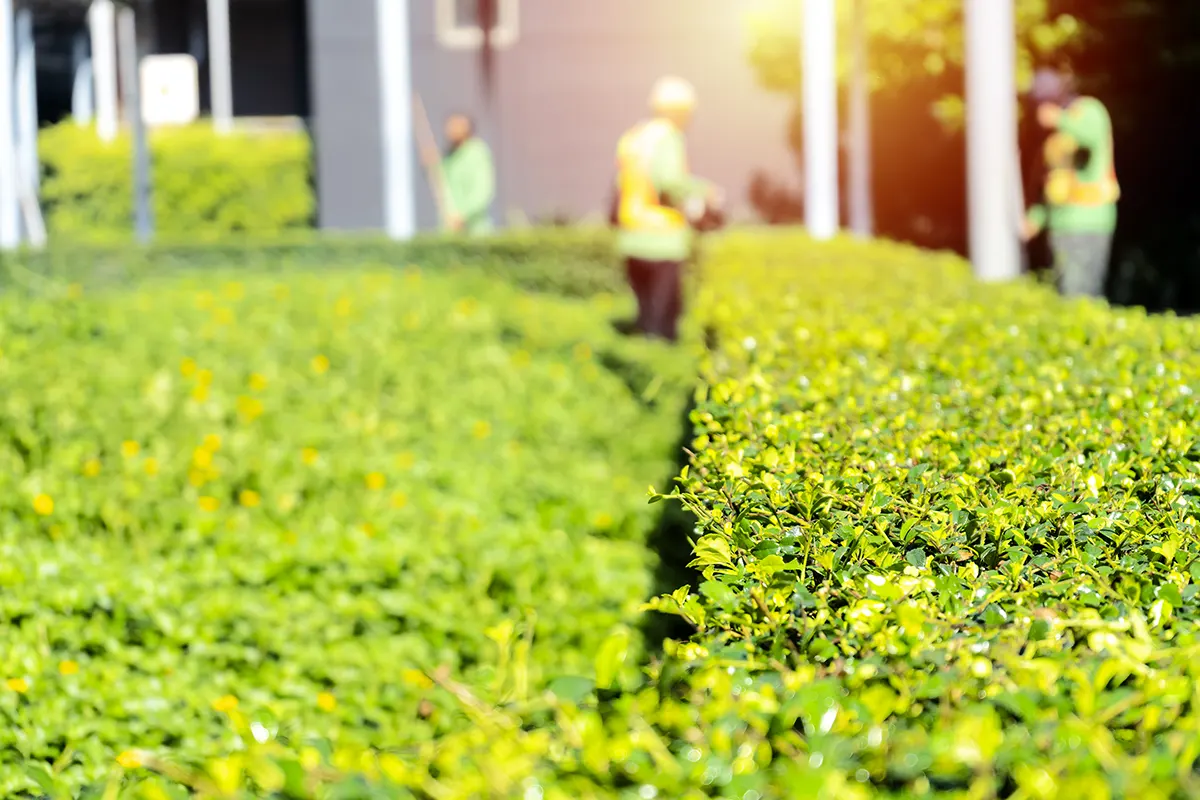 Landscaping & Grounds Maintenance Field Service Management Solutions Landscaping & Grounds Maintenance Field Service Management Solutions